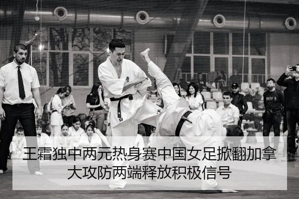wang-shuang-du-zhong-liang-yuan-re-shen-sai-zhong-guo-nv-zu-xian-fan-jia-na-da-gong-fang-liang-duan-shi-fang-ji-ji-xin-2-904.jpg